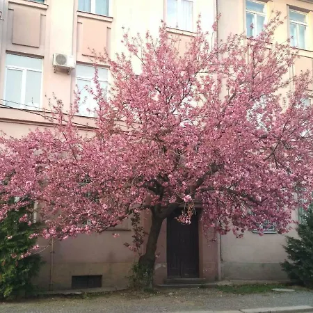 Irina Guest house *